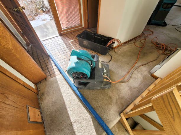  Berlin, OH Water damage restoration Pros