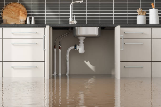 Best Plumbing Leak and Burst Pipe Cleanup in Berlin, OH